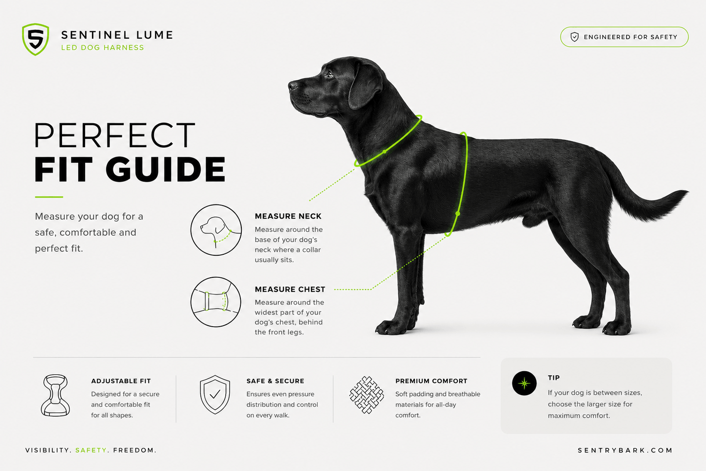 Sentinel Lume LED Dog Harness - High Visibility USB Rechargeable Light Up No Pull Harness - Night Black